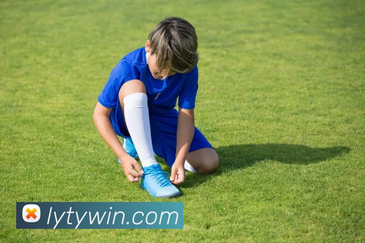 绿茵体育官网服务体系